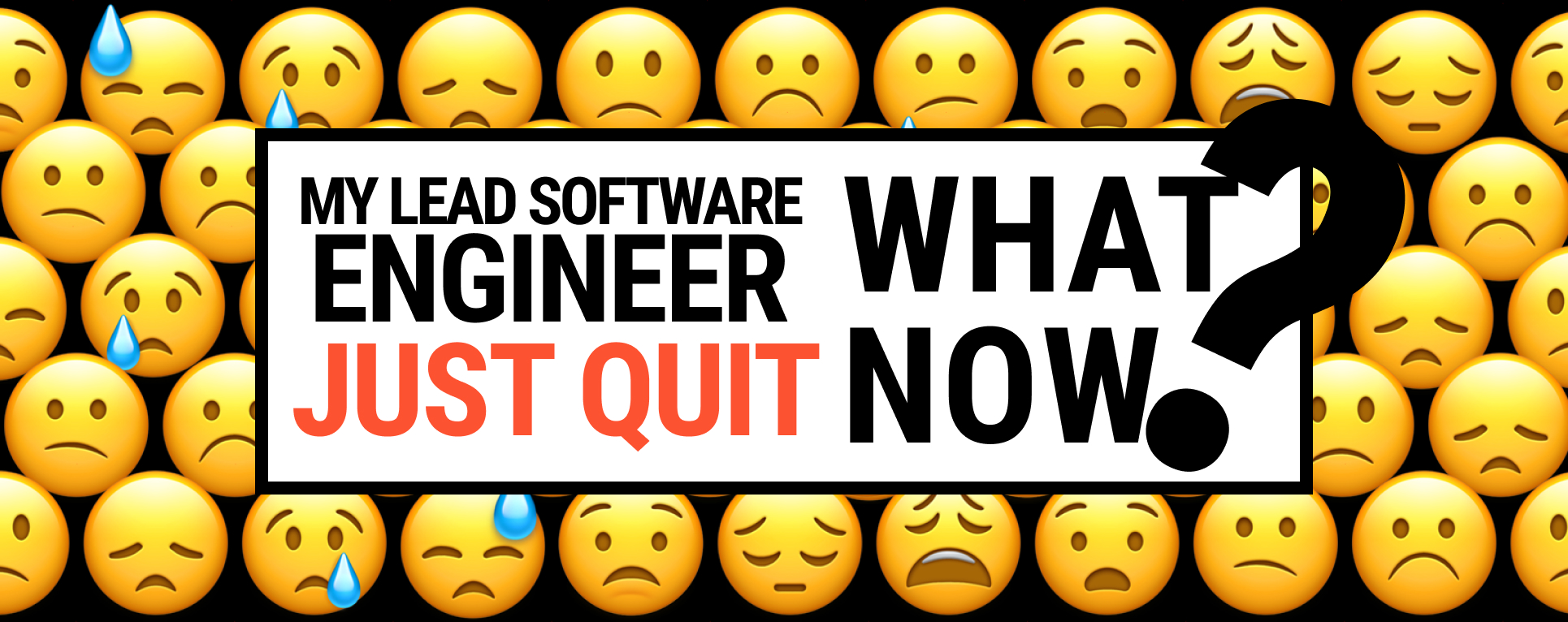 My Lead Software Engineer Just Quit. What Now?